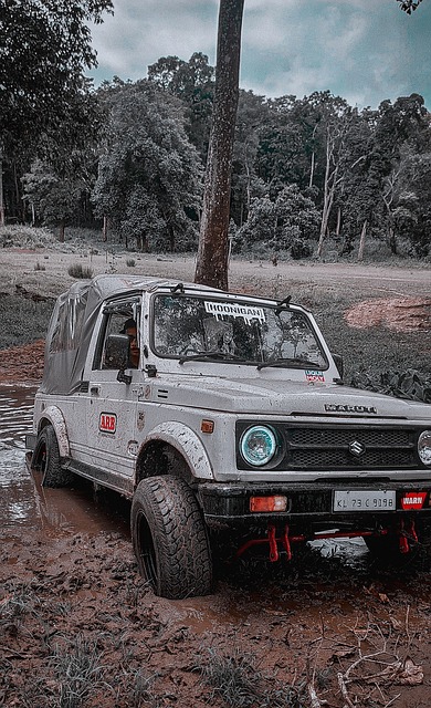 掘金半场4人得分上双，约基奇10分6助攻4篮板